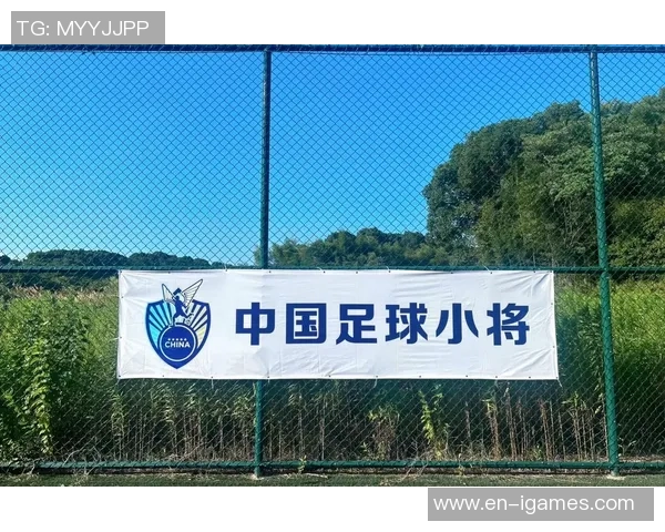 大勺足球的魅力与挑战探索这项独特运动的历史与未来发展